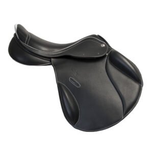 Horseball