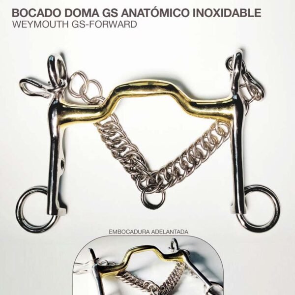 BOCADO DOMA GS ANATÓMICO INOX