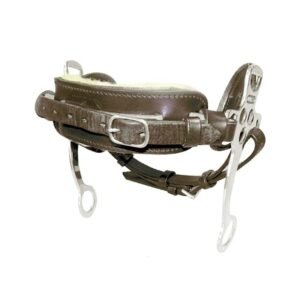 Hackamore