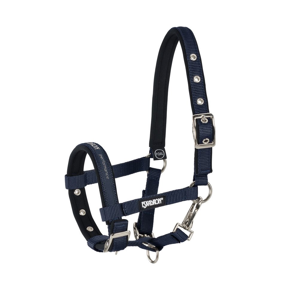 CABEZADA ESKADRON POTRO FOAL - Imagen 4