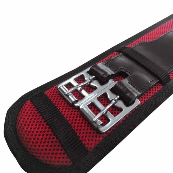 CINCHA CORTA PARA SILLA FREEMAX
