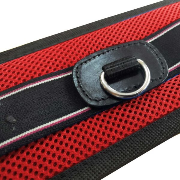 CINCHA CORTA PARA SILLA FREEMAX - Imagen 2