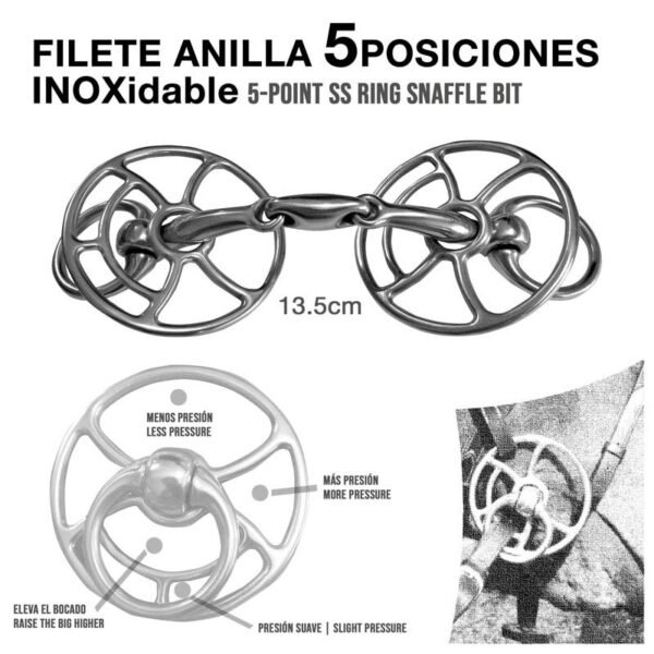 FILETE ANILLA 5-POSICIONES INOX 215518 13.5cm