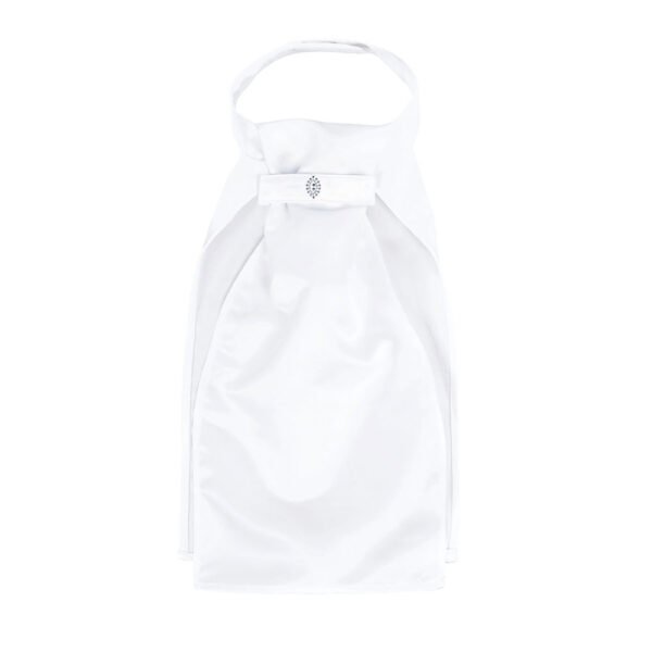 CORBATA PLASTRÓN PIKEUR 187000 342 010 BLANCO