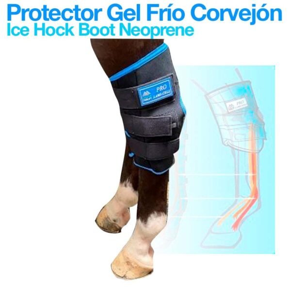 PROTECTOR GEL FRÍO PARA CORVEJÓN 4812639F-K/B(LC PAR