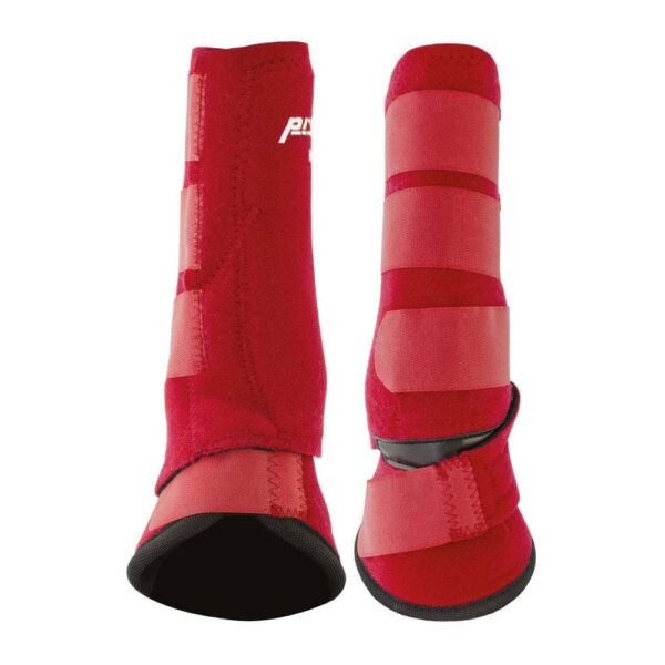 PROTECTOR PROTECH + CAMPANA COMBI