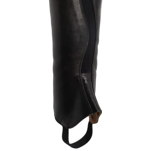 POLAINA EQUESTRO FRANCESCHINI MODELO BRUNELLESCHI - Imagen 3