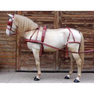 Enganches y Accesorios
