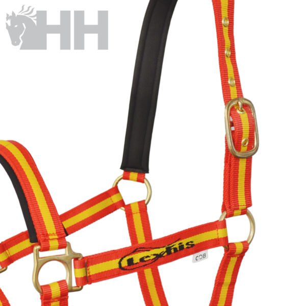 CABEZADA CUADRA LEXHIS NYLON DOBLE - Imagen 4