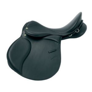 SILLA ING.USO GENERAL LUDOMAR OLYMPIA