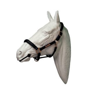 CABEZADA CUADRA LEXHIS CUERO