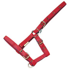 CABEZADA CUADRA MEHIS NYLON FOAL