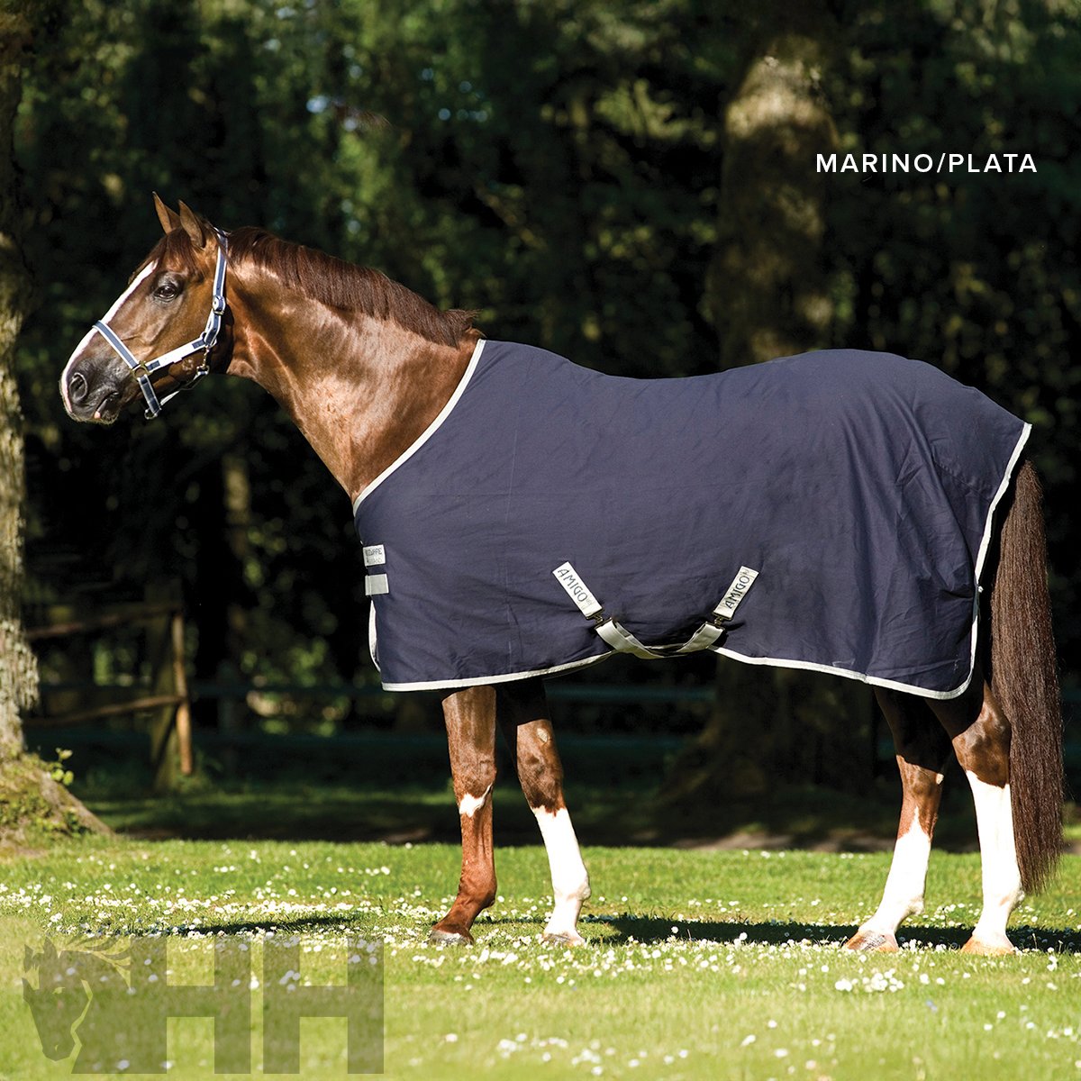 MANTA AMIGO VERANO - Imagen 6