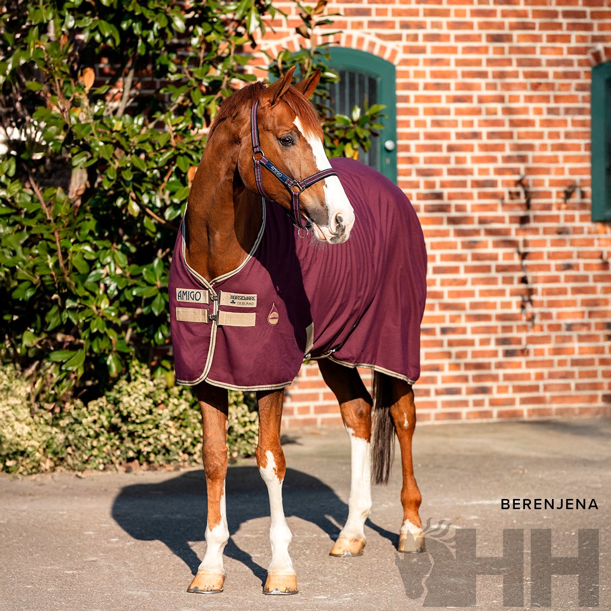 MANTA AMIGO VERANO - Imagen 7