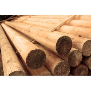 BARRA OBSTACULO MADERA TRATADA 350x9 CM