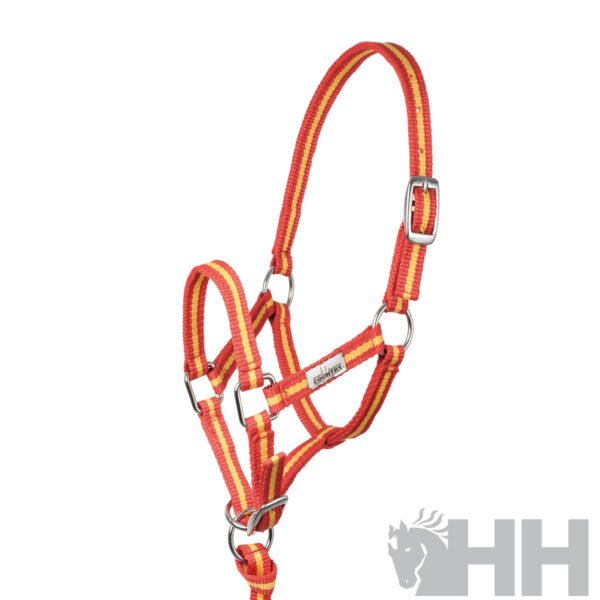 CABEZADA CUADRA HH NYLON FOAL - Imagen 2
