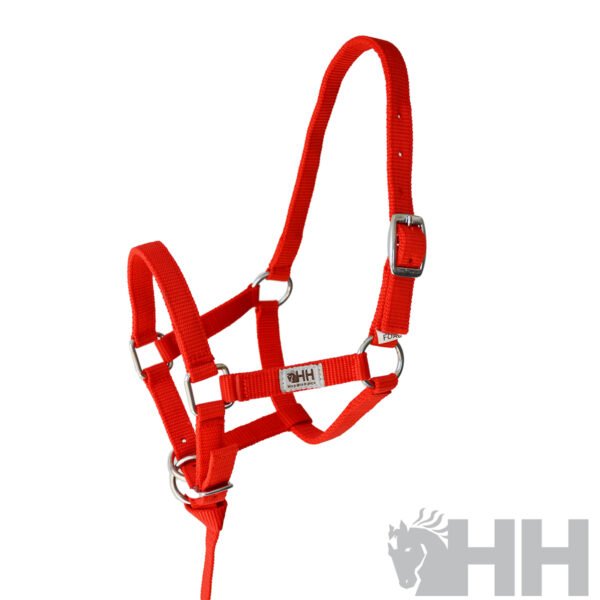 CABEZADA CUADRA HH NYLON FOAL - Imagen 3