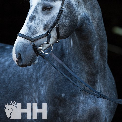 RIENDAS HORSEWARE MICKLEM COMPETITION BRIDLE