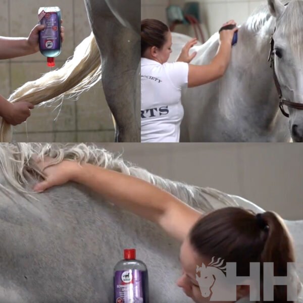 CHAMPU LEOVET BLANQUEANTE PARA CABALLOS TORDOS - Imagen 3