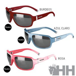GAFAS CASCO SX-61 BICOLOR