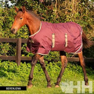 MANTA AMIGO FOAL POTRILLO EXTERIOR MEDIUM (200g)