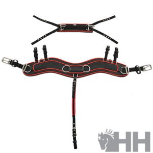 PECHOPETRAL ENGANCHE LEXHIS HANOVER ANATÓMICO SENCILLO (JUEGO COMPLETO)