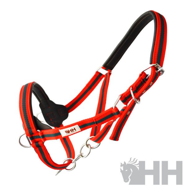 CABEZADA CUADRA HH EXTRA FUERTE - Imagen 4