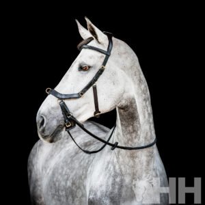 CABEZADA INGLESA HORSEWARE MICKLEM 2 MULTIBRIDLE (SIN RIENDAS)