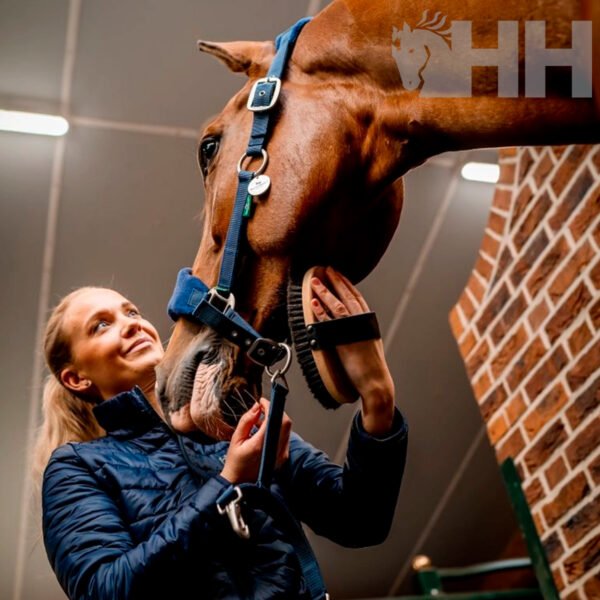 CABEZADA CUADRA HORSEWARE SIGNATURE NYLON GROOMING - Imagen 2