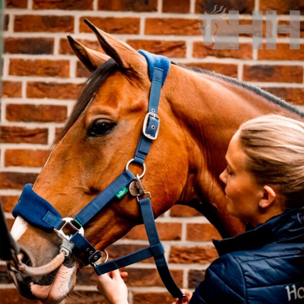 CABEZADA CUADRA HORSEWARE SIGNATURE NYLON GROOMING - Imagen 3