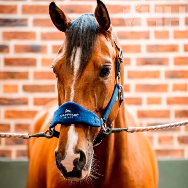 CABEZADA CUADRA HORSEWARE SIGNATURE NYLON GROOMING - Imagen 4