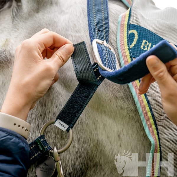 CABEZADA CUADRA HORSEWARE NYLON FIELD SAFE - Imagen 2
