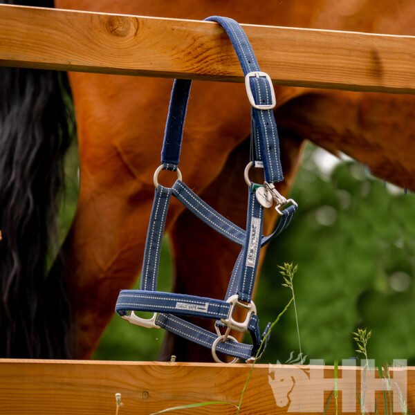 CABEZADA CUADRA HORSEWARE NYLON FIELD SAFE - Imagen 3