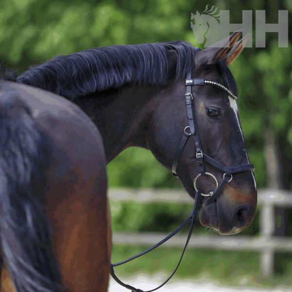 FILETE SPRENGER KK CORRECTION ANILLA 70mm - Imagen 3