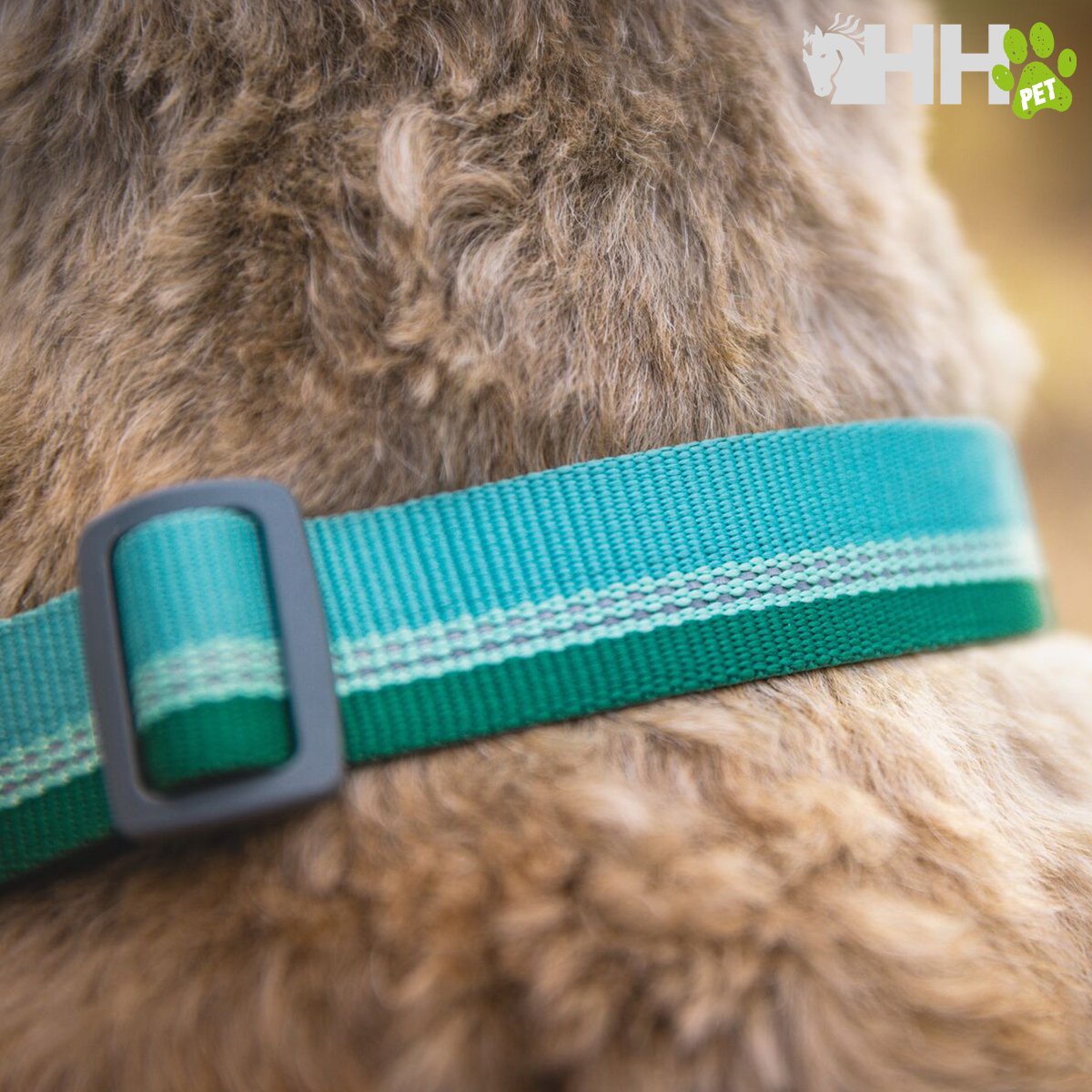 COLLAR MARTINGALA RUFFWEAR PARA PERROS CHAIN REACTION - Imagen 4