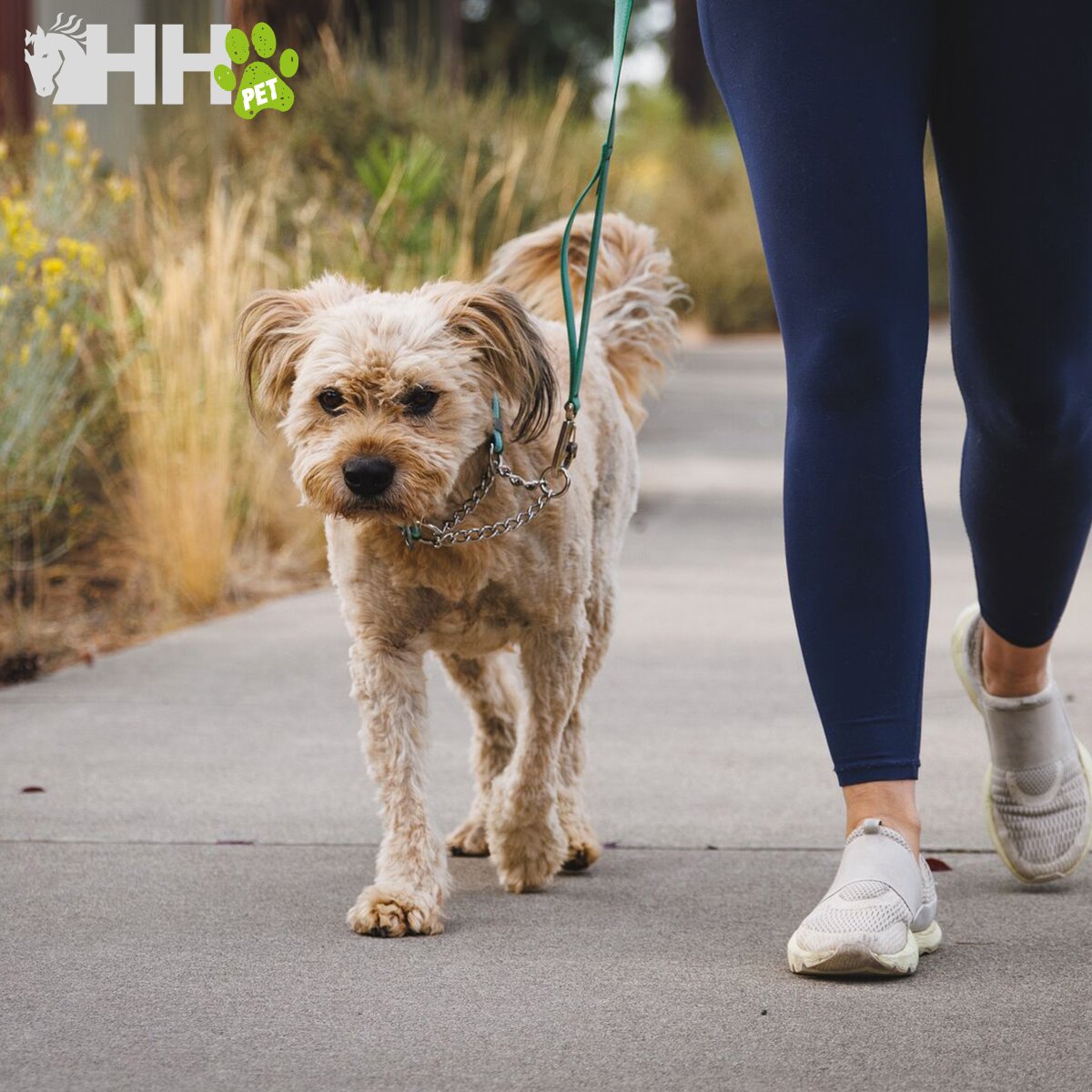 COLLAR MARTINGALA RUFFWEAR PARA PERROS CHAIN REACTION - Imagen 5