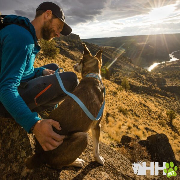 COLLAR LIGERO RUFFWEAR PARA PERROS HI & LIGHT - Imagen 5