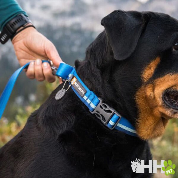 COLLAR MARTINGALA CON HEBILLA RUFFWEAR PARA PERROS WEB REACTION - Imagen 3