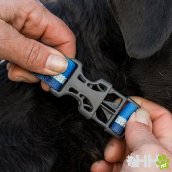 COLLAR MARTINGALA CON HEBILLA RUFFWEAR PARA PERROS WEB REACTION - Imagen 4