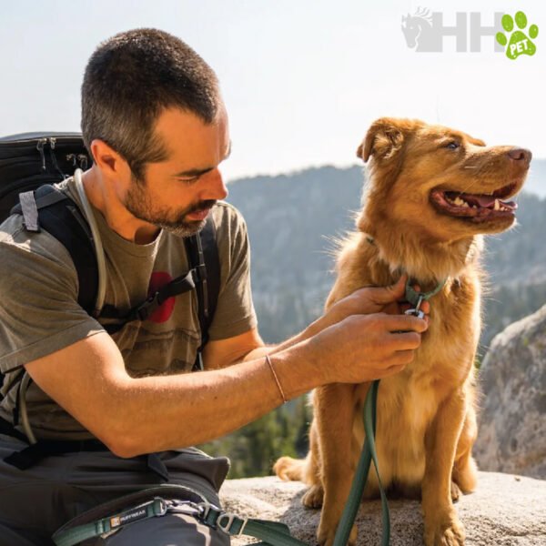 COLLAR MARTINGALA CON HEBILLA RUFFWEAR PARA PERROS WEB REACTION - Imagen 5
