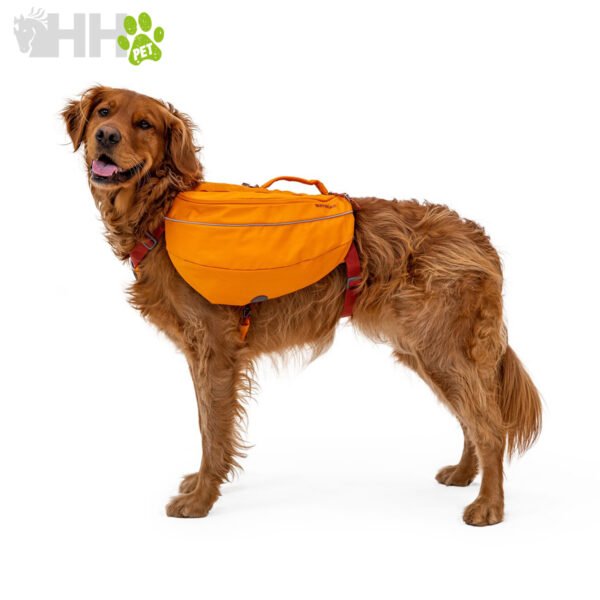 MOCHILA RUFFWEAR PARA PERROS APPROACH - Imagen 2