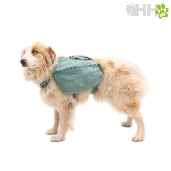 MOCHILA RUFFWEAR PARA PERROS FRONT RANGE - Imagen 2