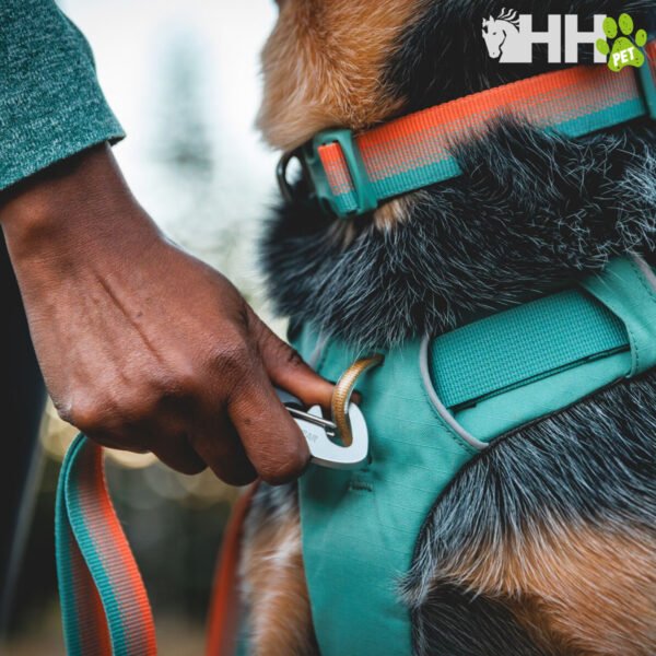 MOCHILA RUFFWEAR PARA PERROS FRONT RANGE - Imagen 4