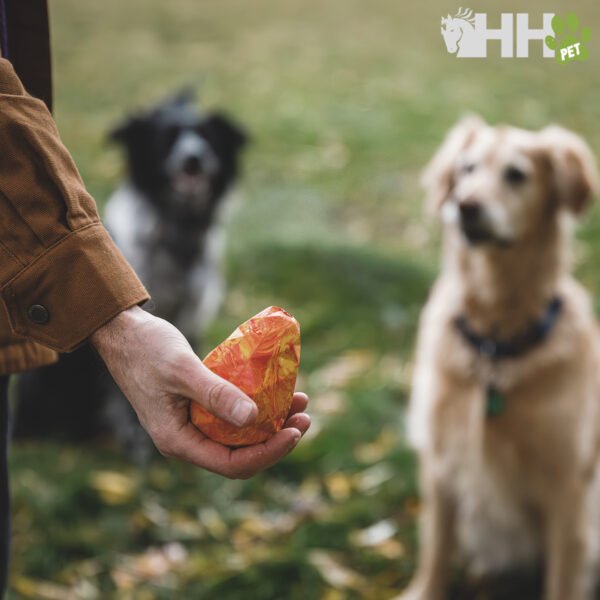 PIÑA RUFFWEAR PARA PERROS GNAWT-A-CONE - Imagen 4