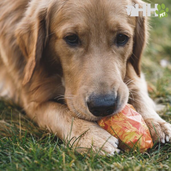 PIÑA RUFFWEAR PARA PERROS GNAWT-A-CONE - Imagen 5