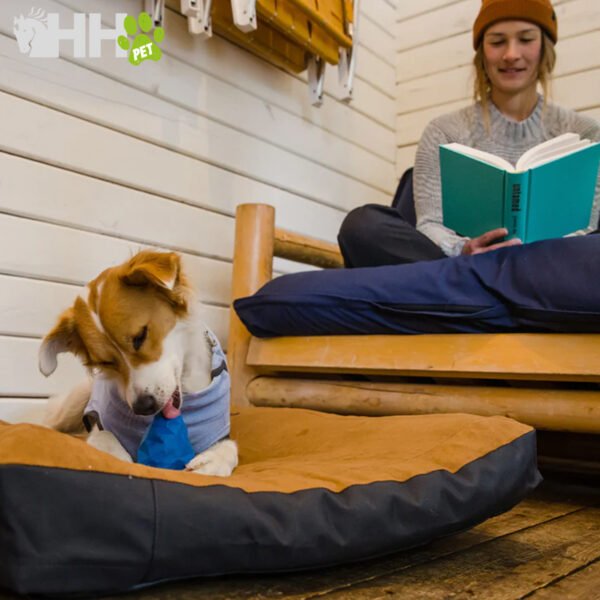 PIÑA RUFFWEAR PARA PERROS GNAWT-A-CONE - Imagen 6