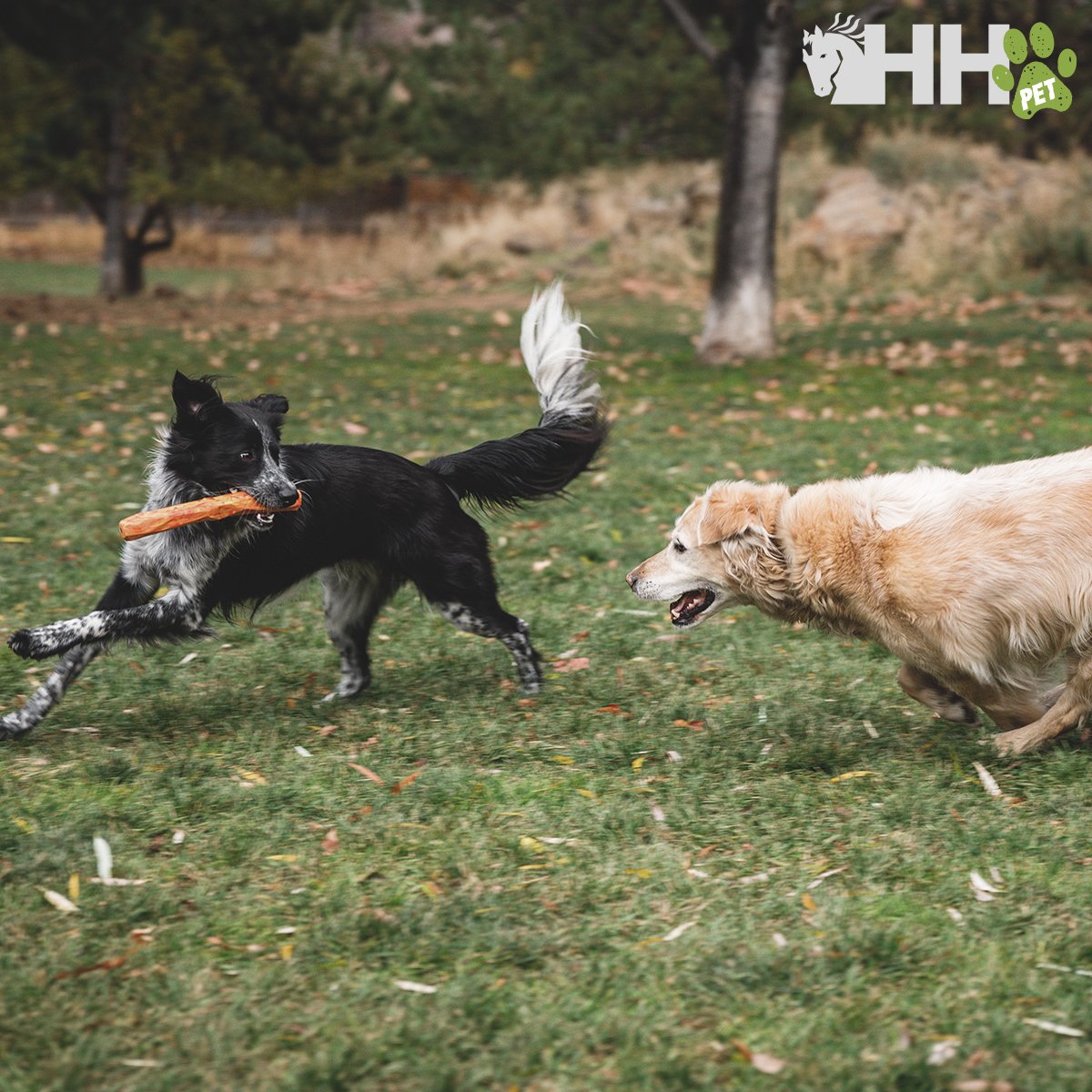 PALO RUFFWEAR PARA PERROS GNAWT-A-STICK - Imagen 4