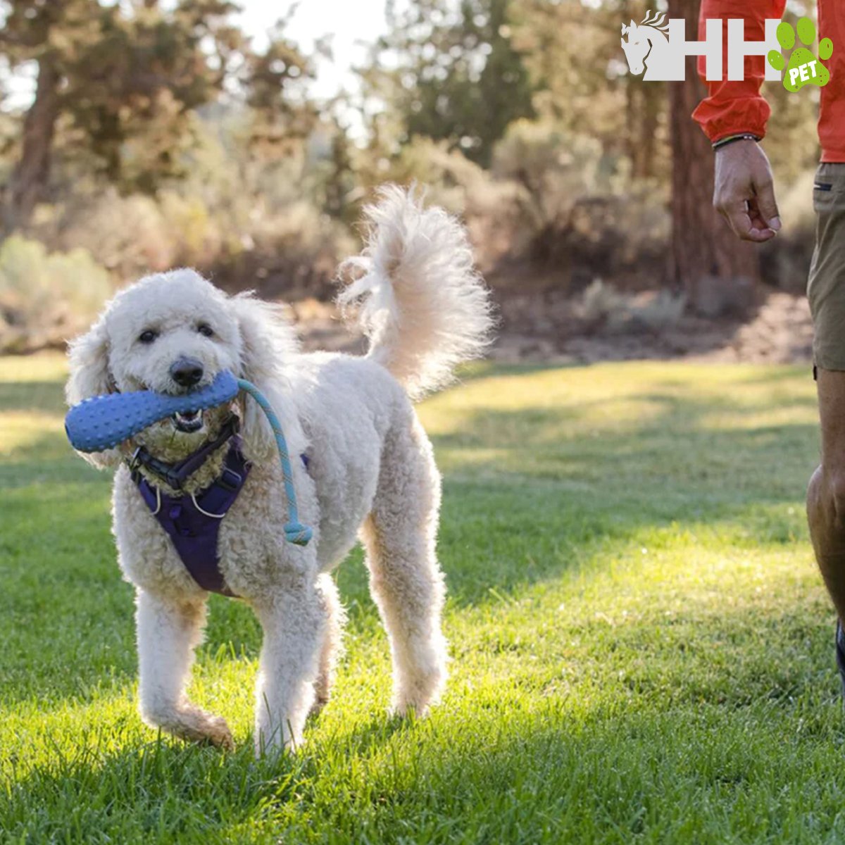 JUGUETE PARA LANZAR RUFFWEAR PARA PERROS GOURDO - Imagen 5