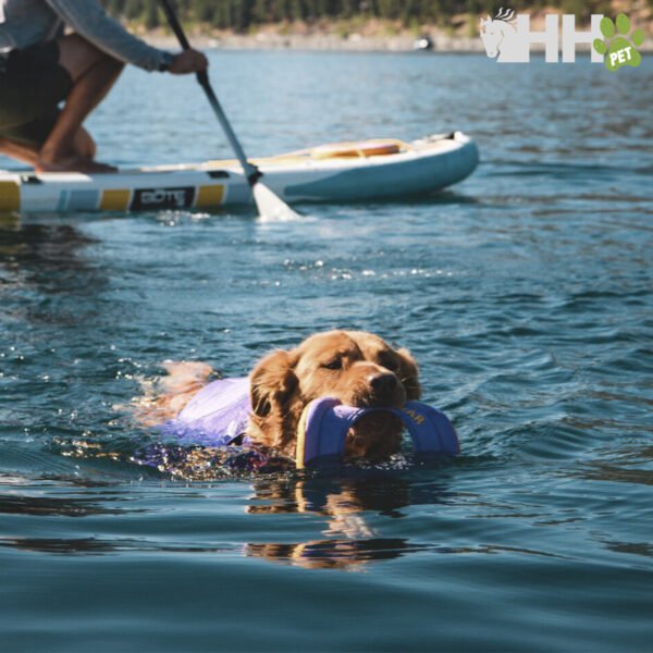 JUGUETE FLOTANTE RUFFWEAR PARA PERROS HYDRO PLANE - Imagen 4