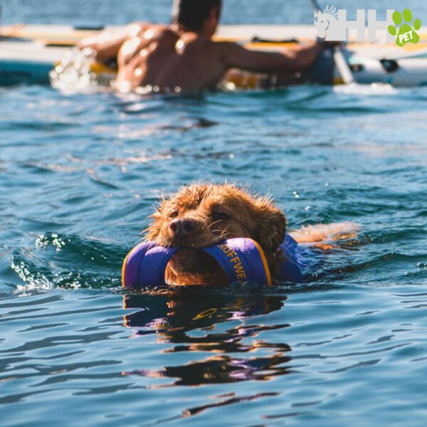 JUGUETE FLOTANTE RUFFWEAR PARA PERROS HYDRO PLANE - Imagen 5